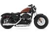 Harley-Davidson (R) Sportster(MD) Forty-Eight(MC) 2014